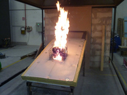 ASTM E108 Roof External Exposure Fire Testing Equipment For Wood Burning